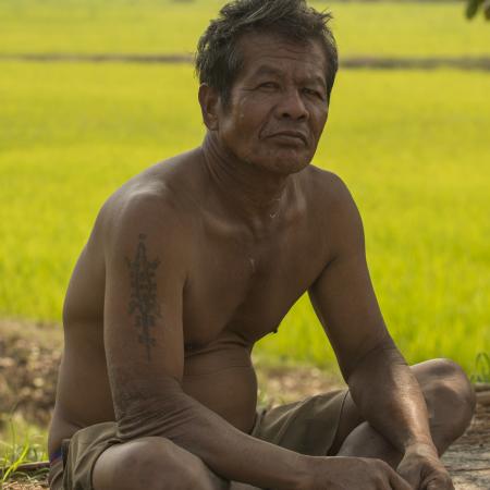 Worker in rice fields. Sukhothai, Thailand. February 2015